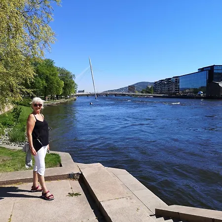 Nyoppusset Utsiktsleilighet Drammen